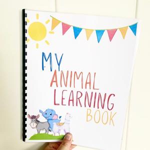 Animal Pre-K Busy Book