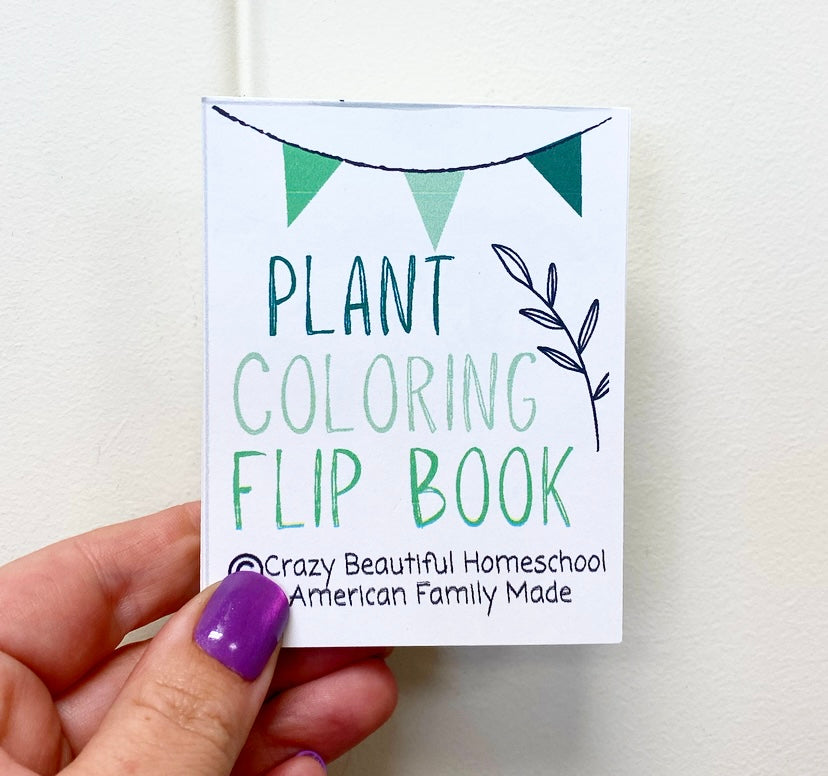 Mini Coloring book Bundle of 6.